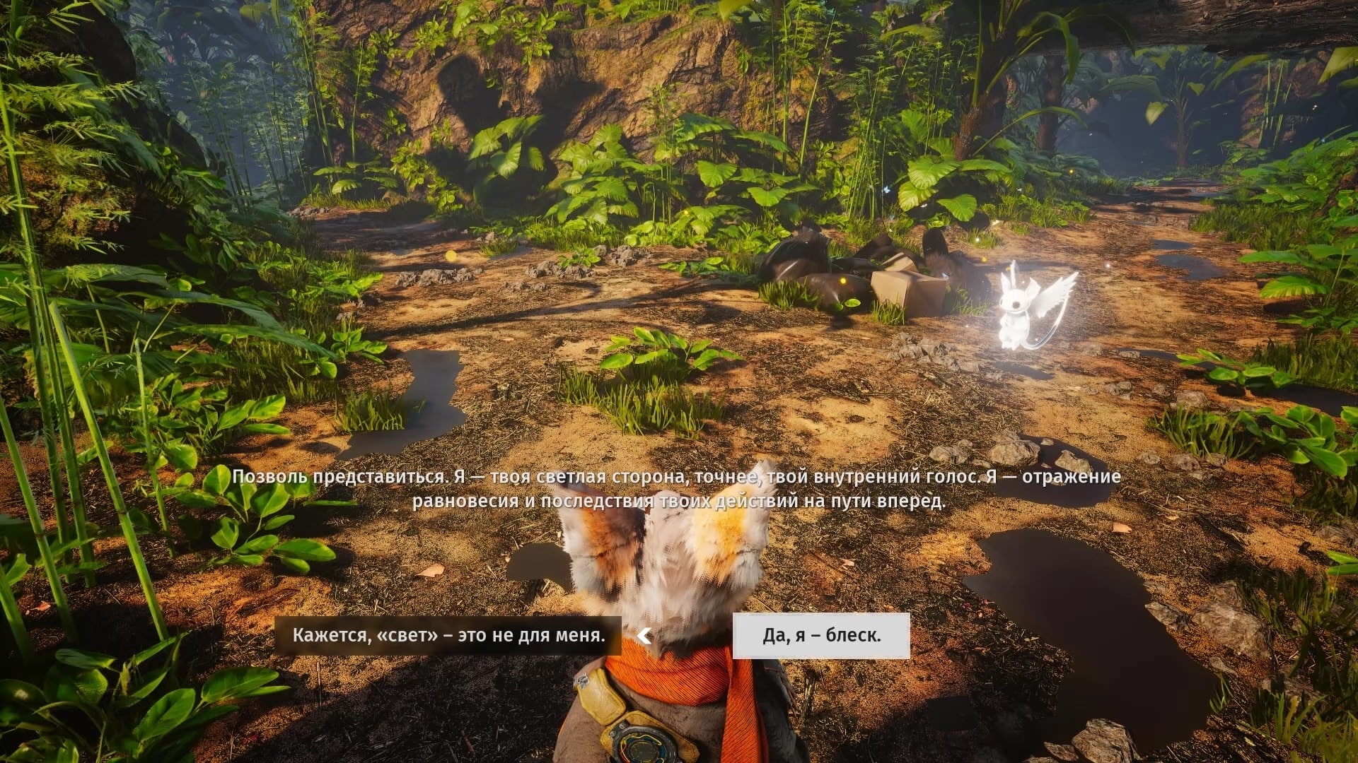 Biomutant: частые вопросы по игре (FAQ) | VK Play