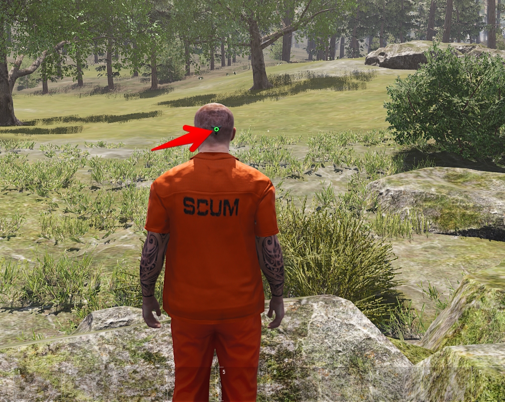 SCUM: базовое руководство и полезные факты по игре | VK Play