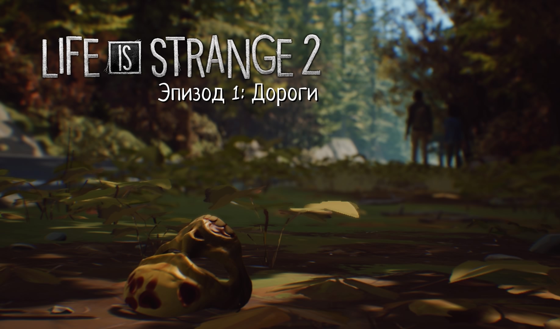 Life is strange 2 все эпизоды стим фото 31