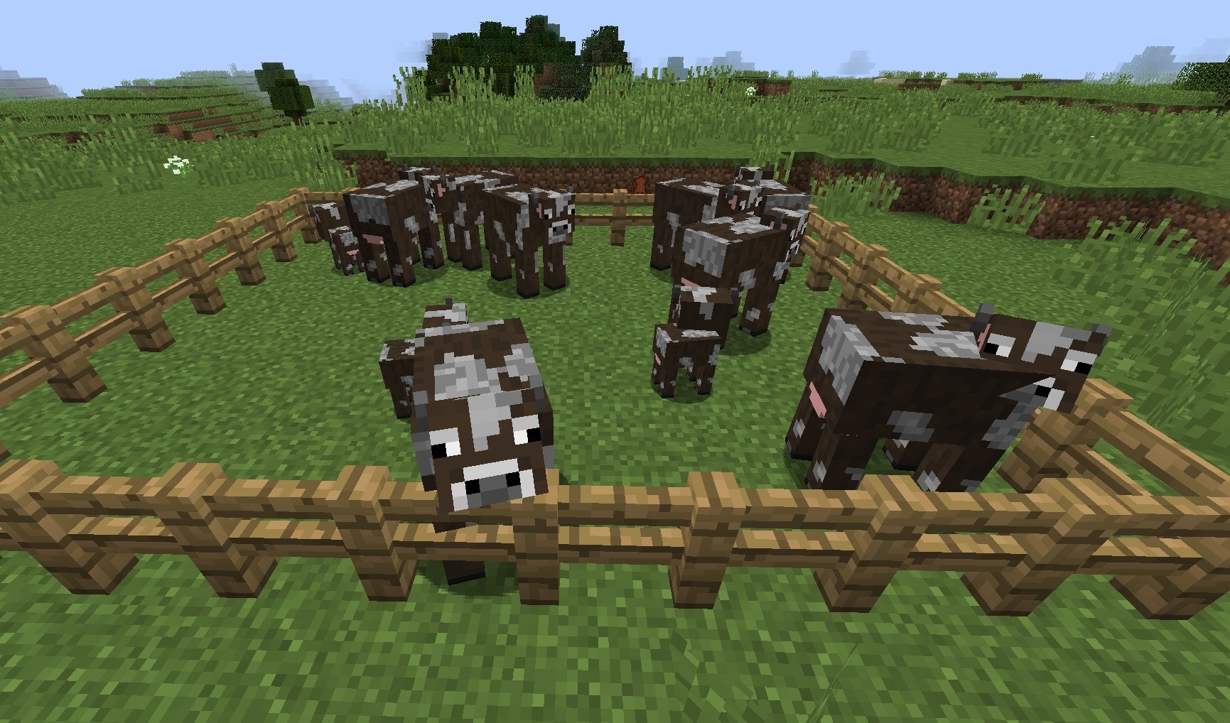 Как сделать собственную ферму коров в Minecraft. 