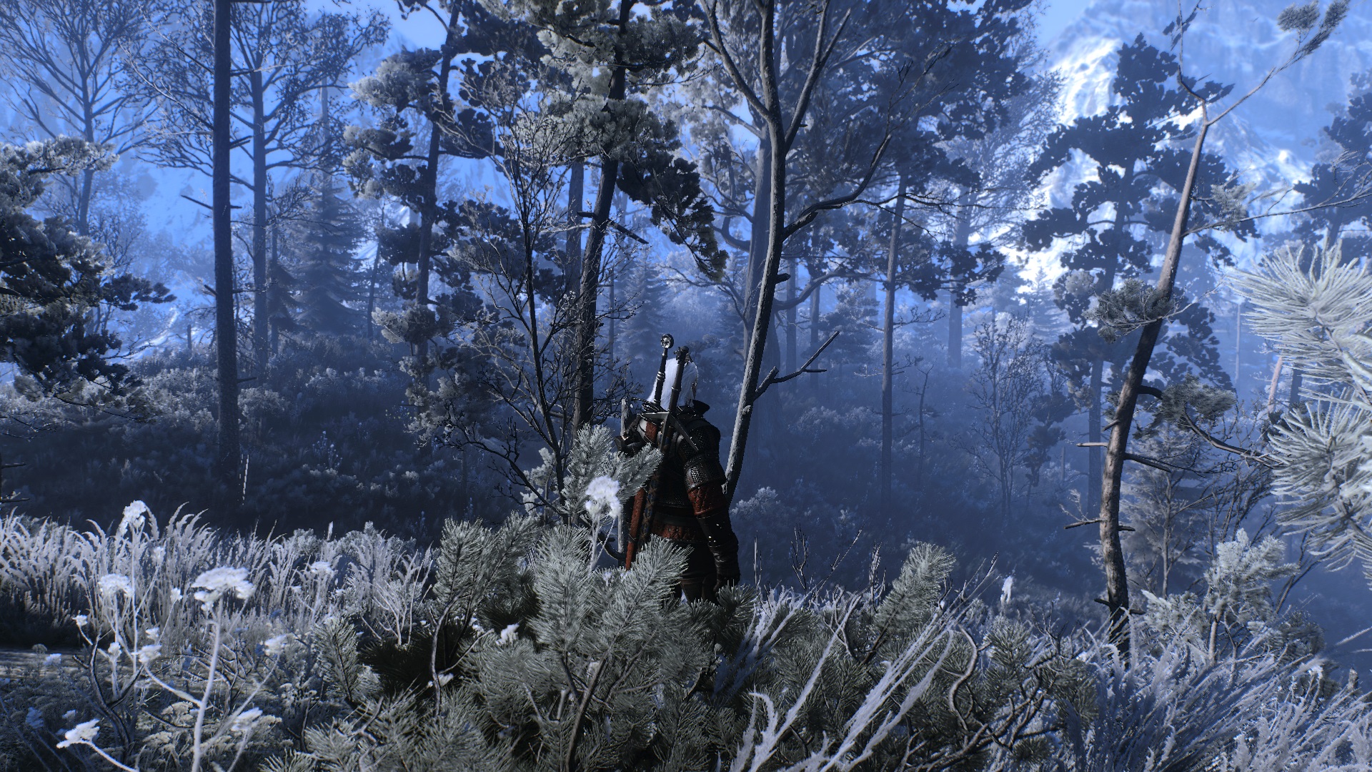 The witcher 3 grass mod фото 67