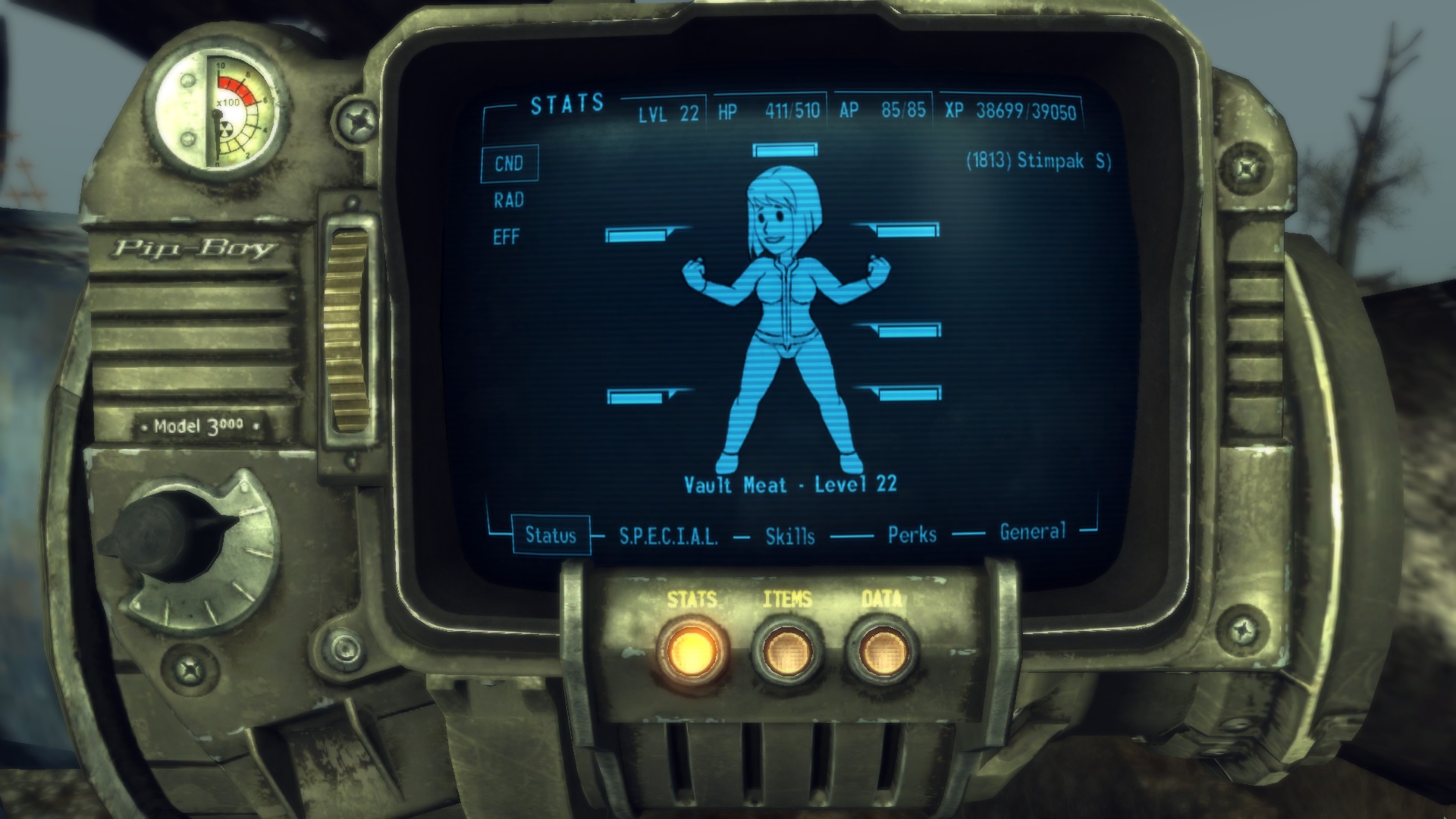 Fallout 4 как фонарик фото 46