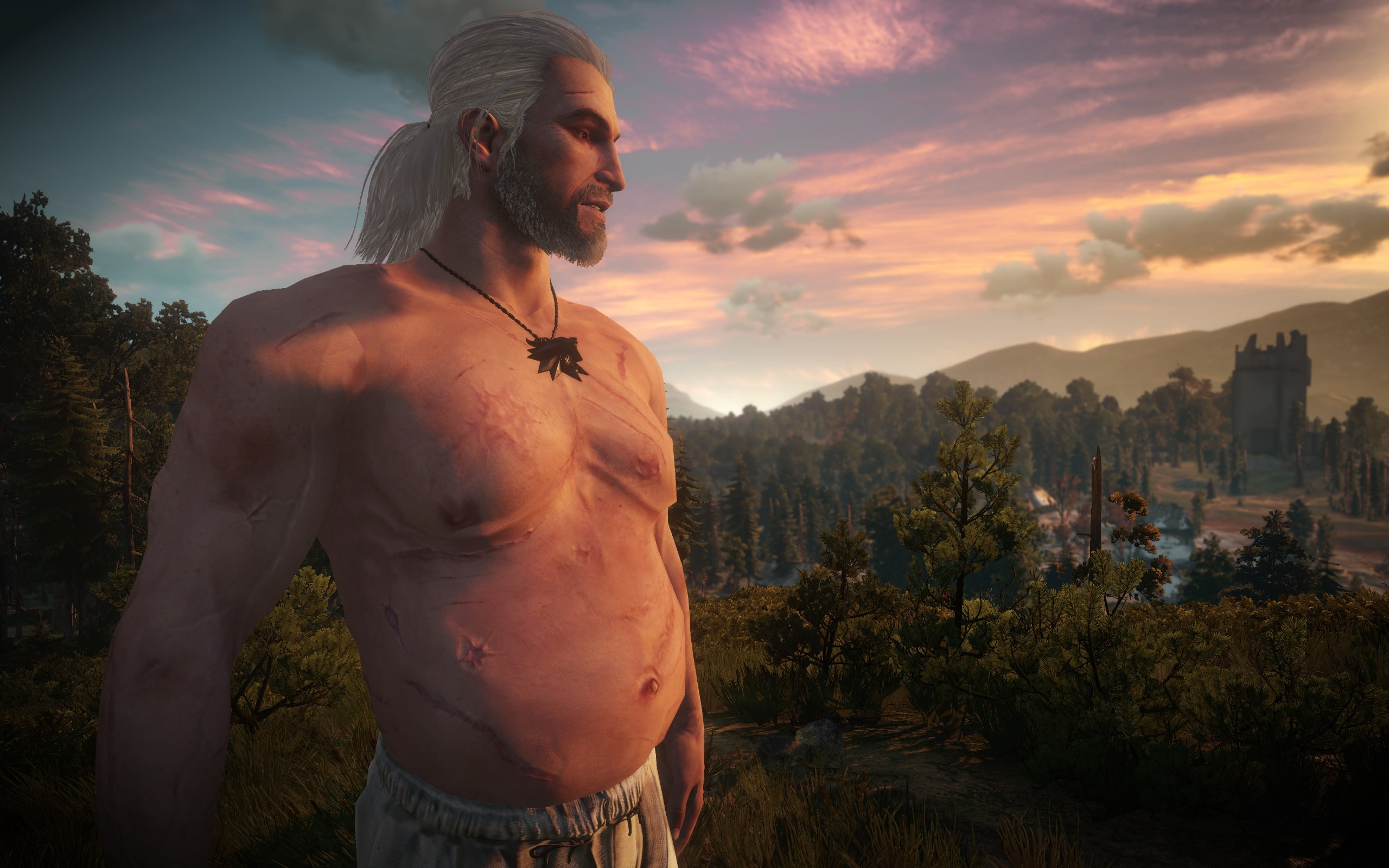 The witcher 3 моды на лицо геральта фото 113