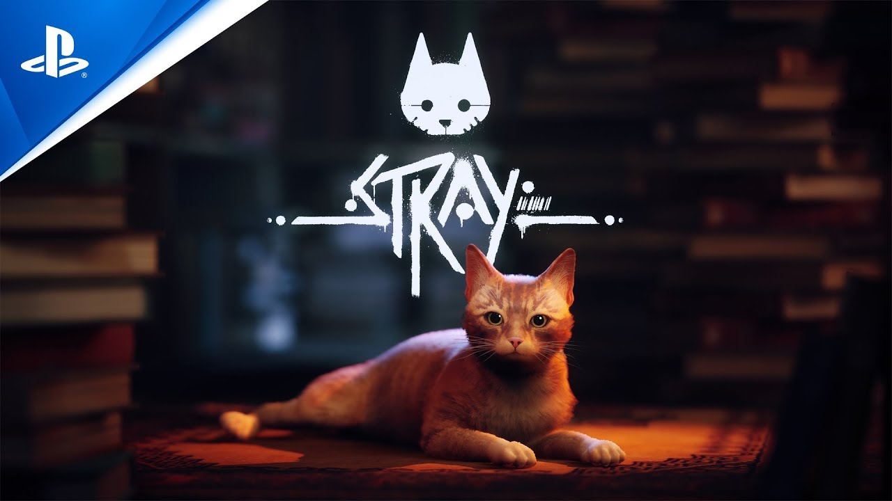 Частые вопросы по Stray — гайд | VK Play