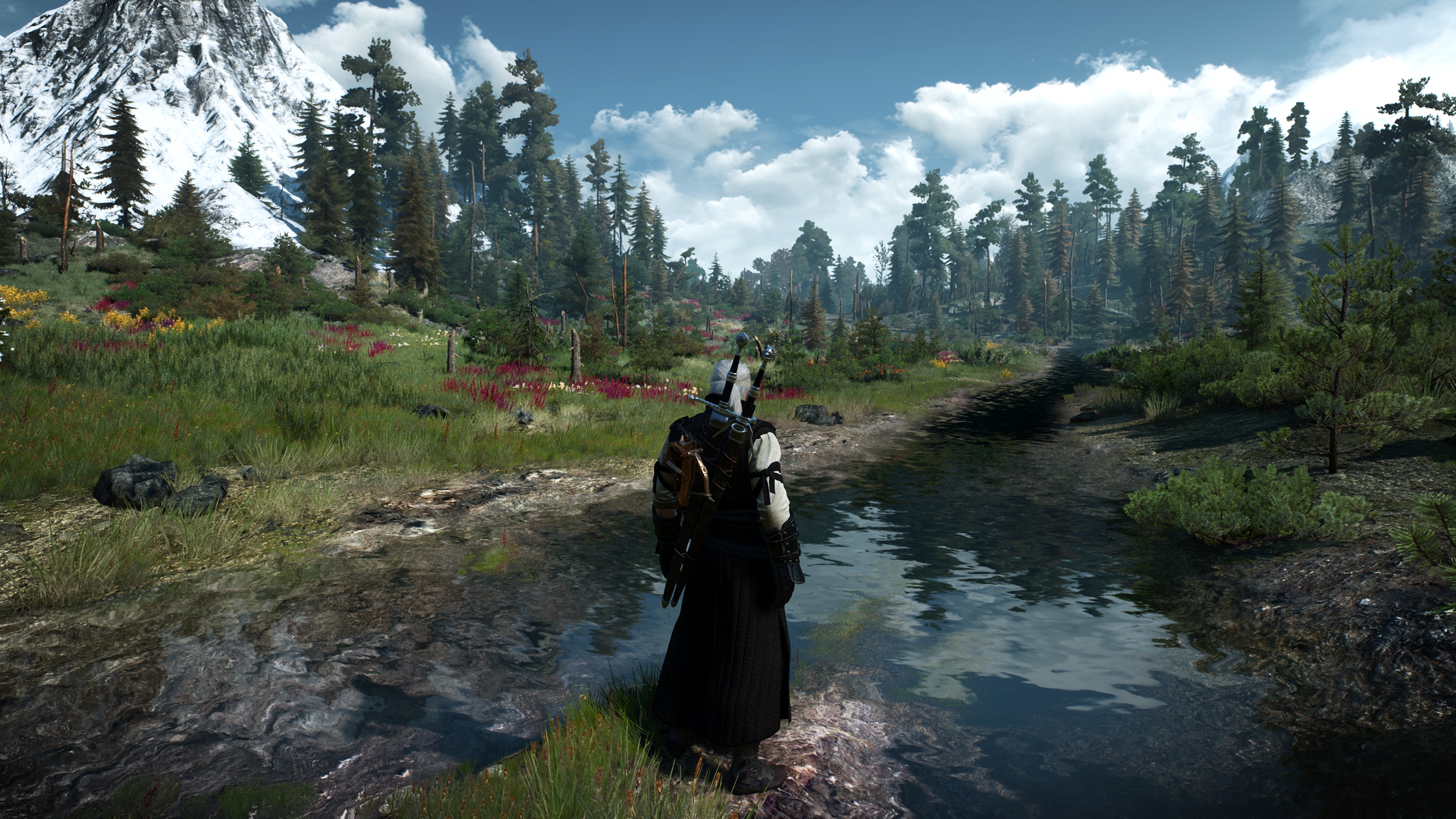 The witcher 3 music overhaul project фото 70