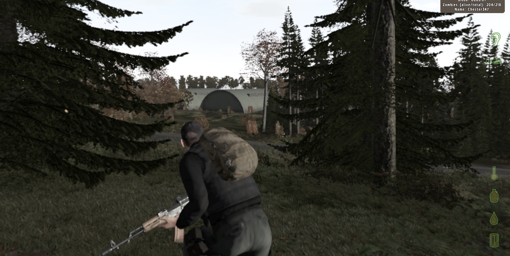 как играть arma 2 dayz steam фото 104