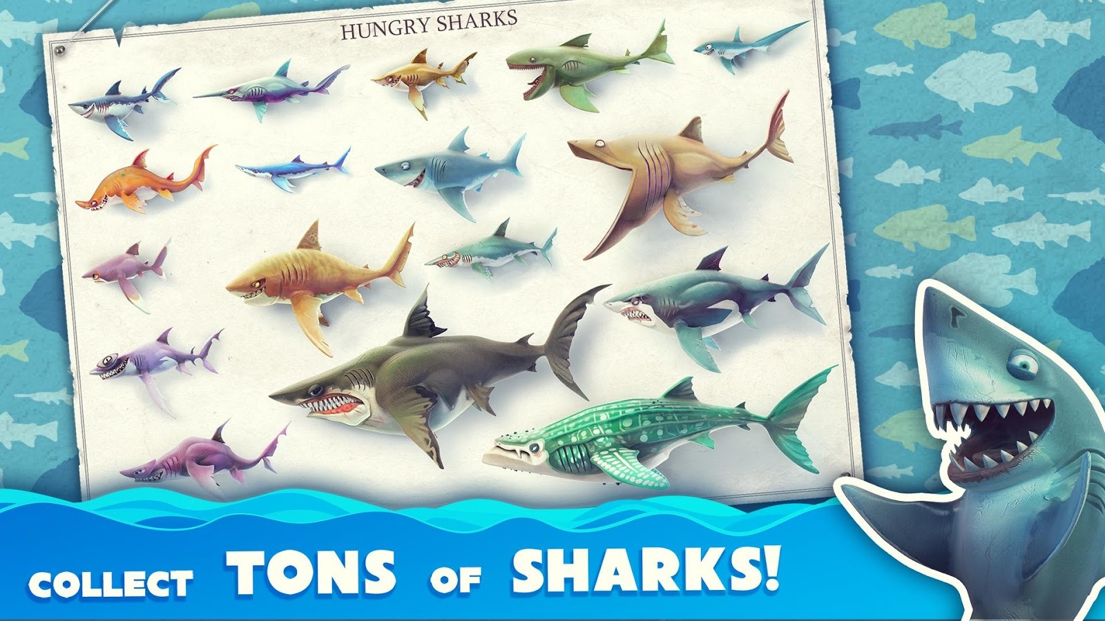 Игра hungry shark картинки