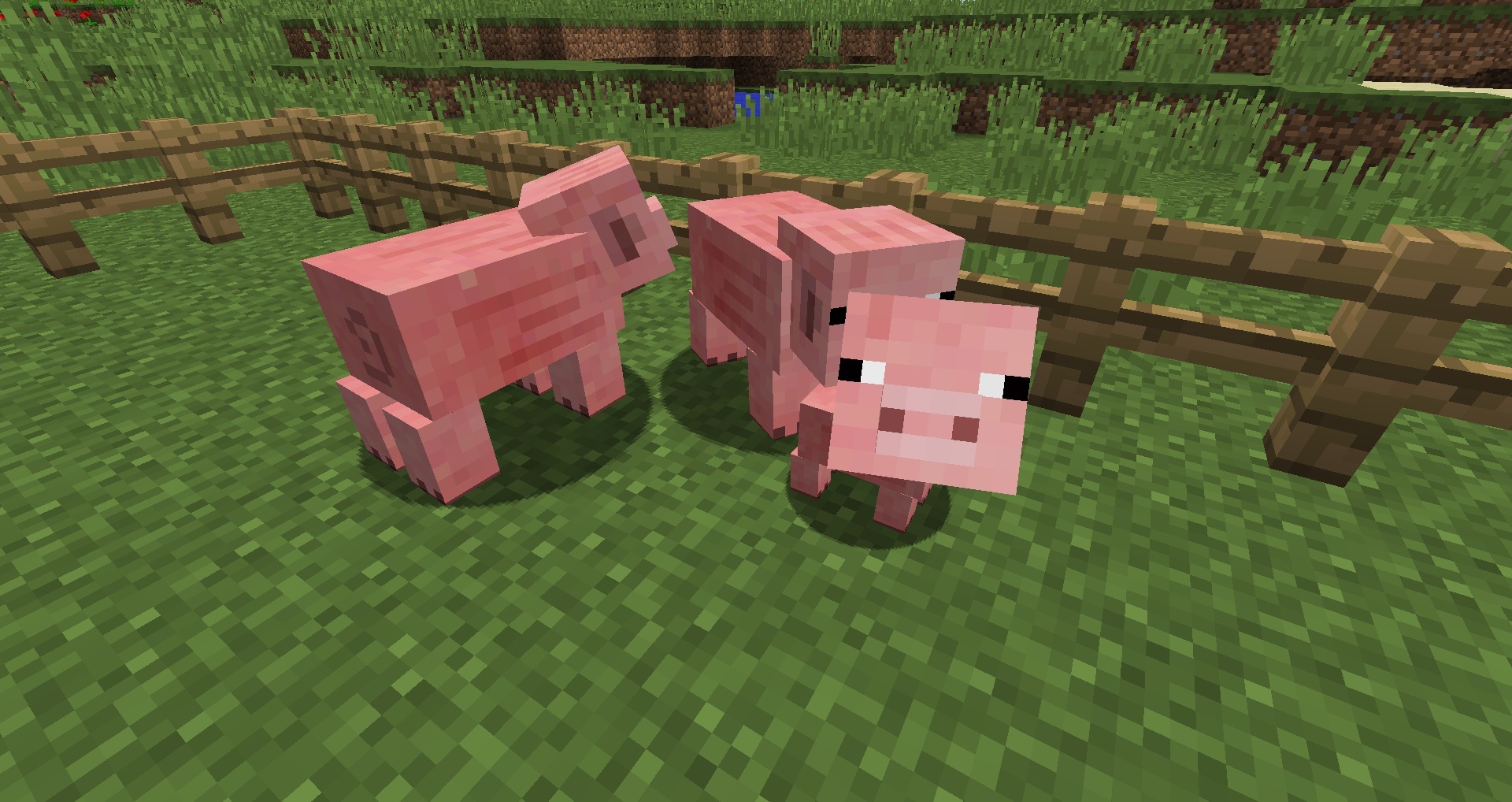 Разведение свиней в Minecraft PLAYER ONE изображение 4. Разведение свиней в...