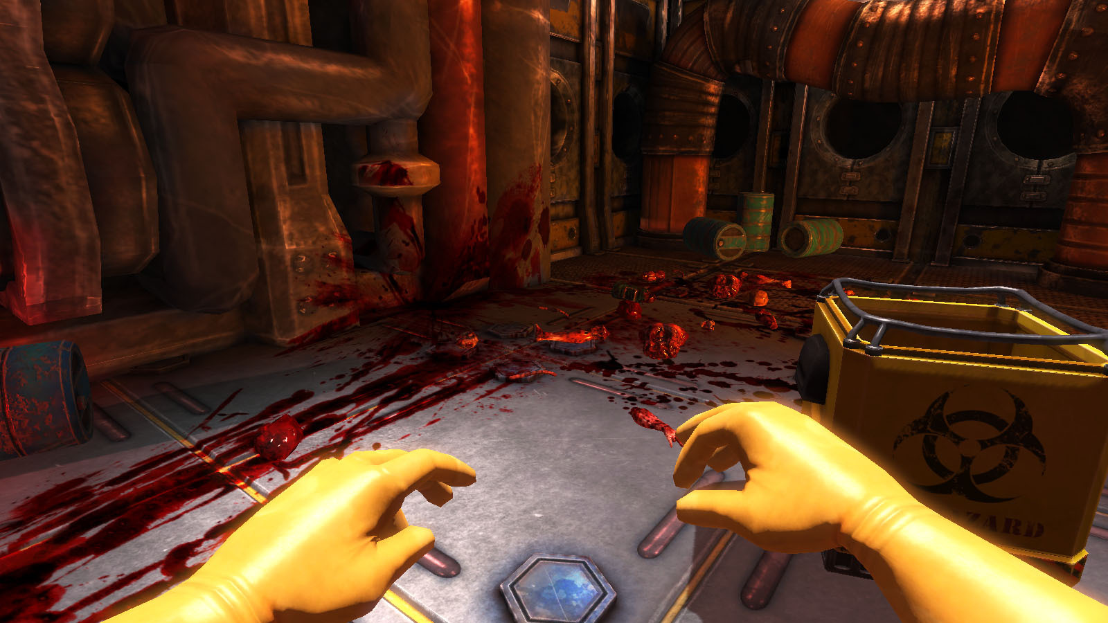 Viscera cleanup detail как играть с другом через стим фото 76