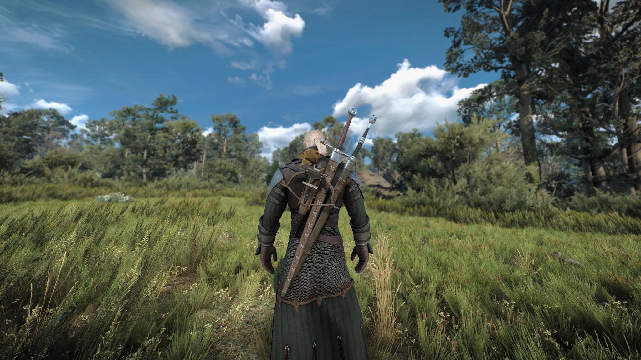 The witcher 3 pc update фото 99