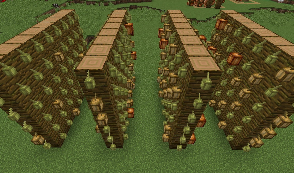 Красивый огород в майнкрафте. Ферма какао бобов 1.12.2. Ферма КРИПЕРОВ 1.12.2. Ферма какао бобов майнкрафт. Какао Бобы Minecraft 1.1.