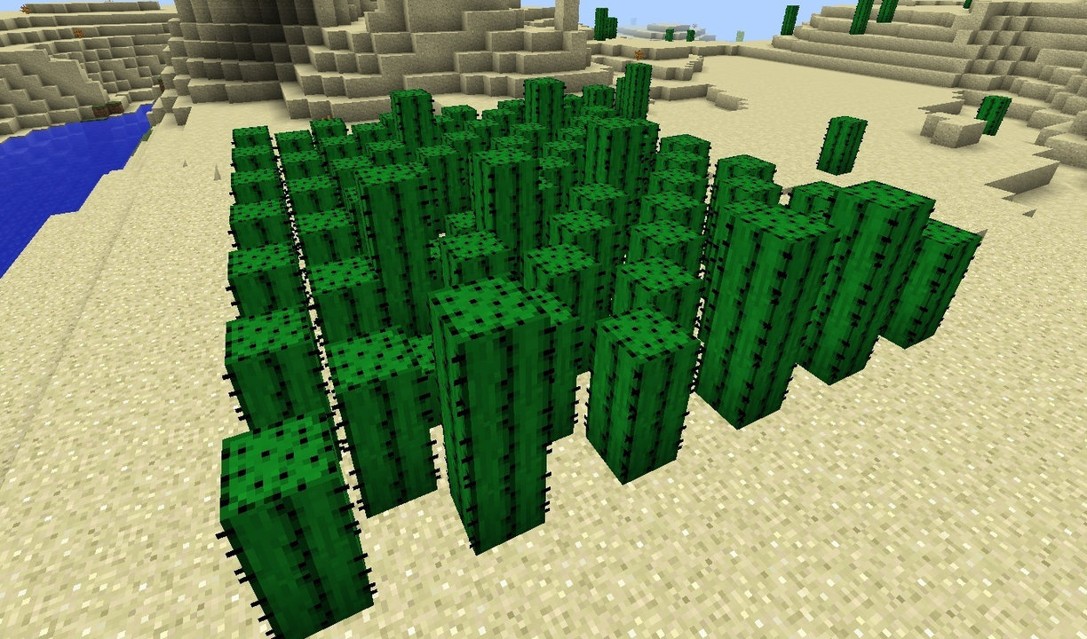 Кактусовая ферма в Minecraft